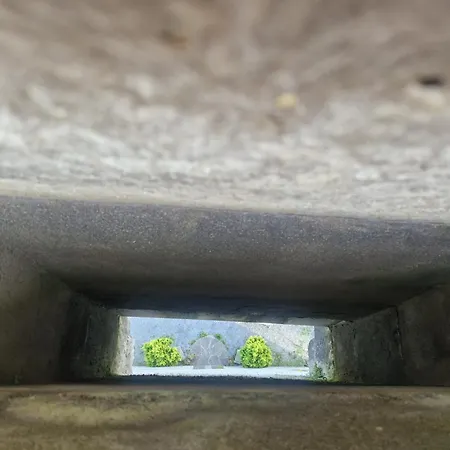 Ballindooley Castle * Galway
